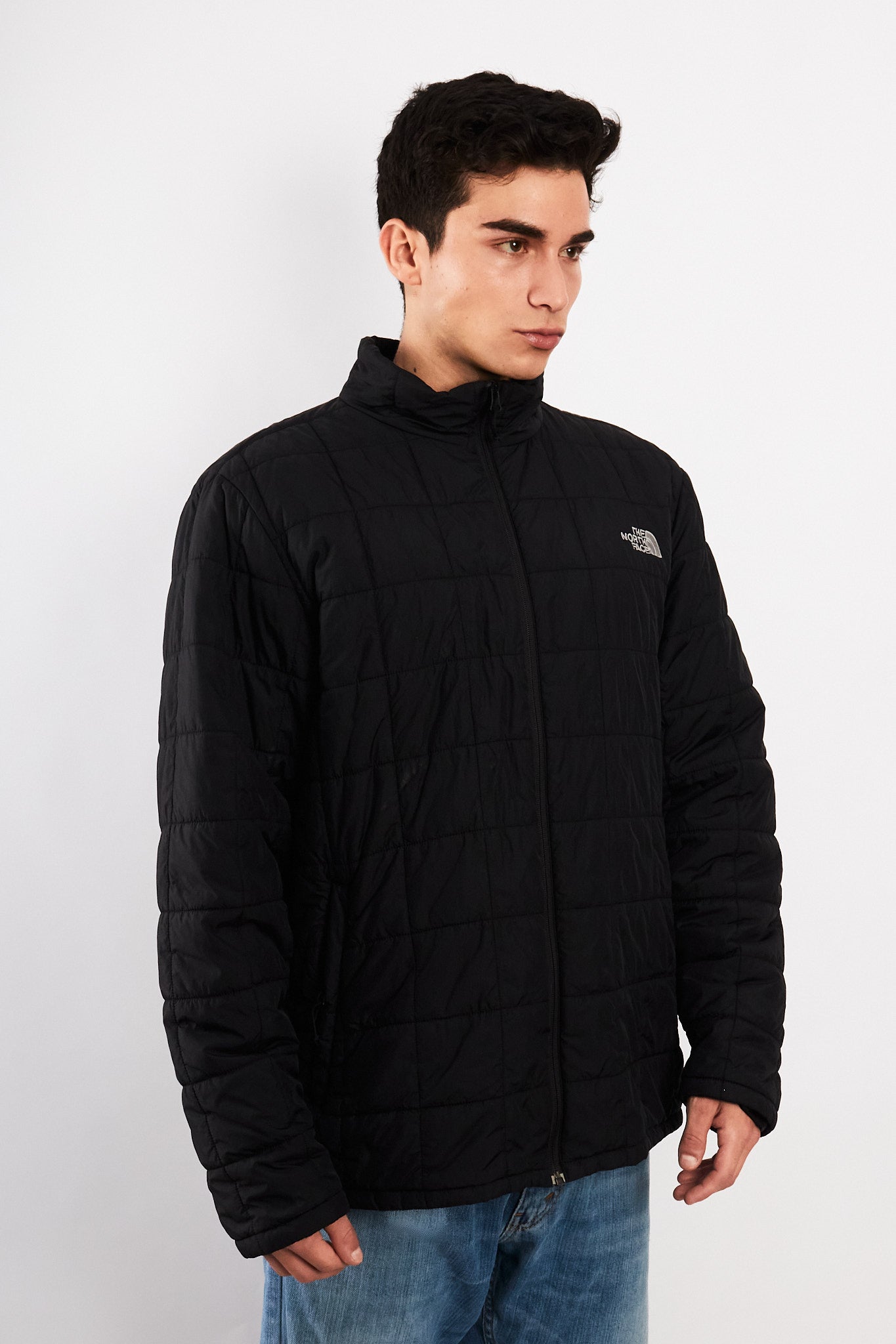 2000 Vintage North Face Graphite Puffer Jacket (L/XL)