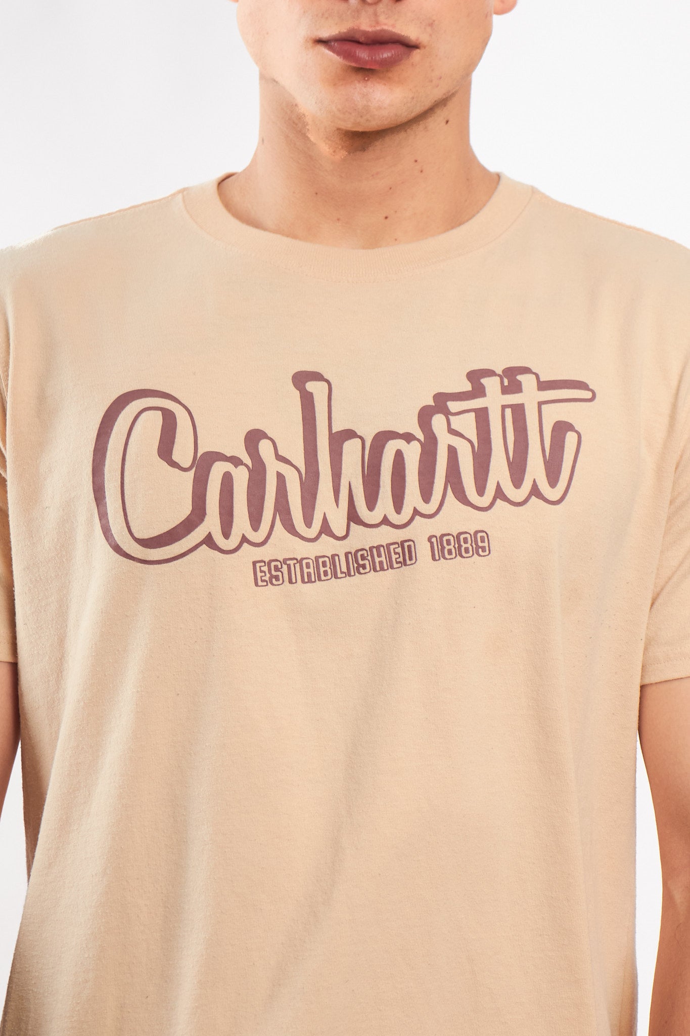 2000 Carhartt Nude Tee (M/L)