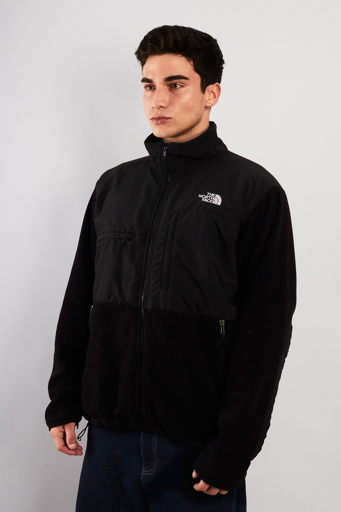 2000 Vintage The North Face Retro Denali Jacket (M/L)