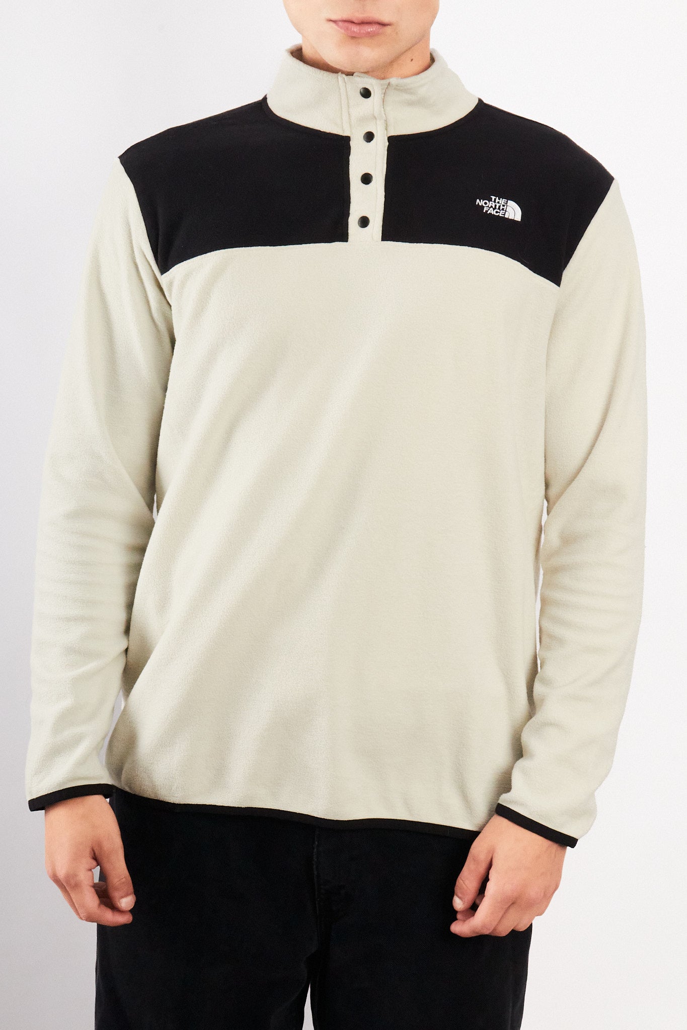 2010 The North Face Fleece Quarter Button (L)