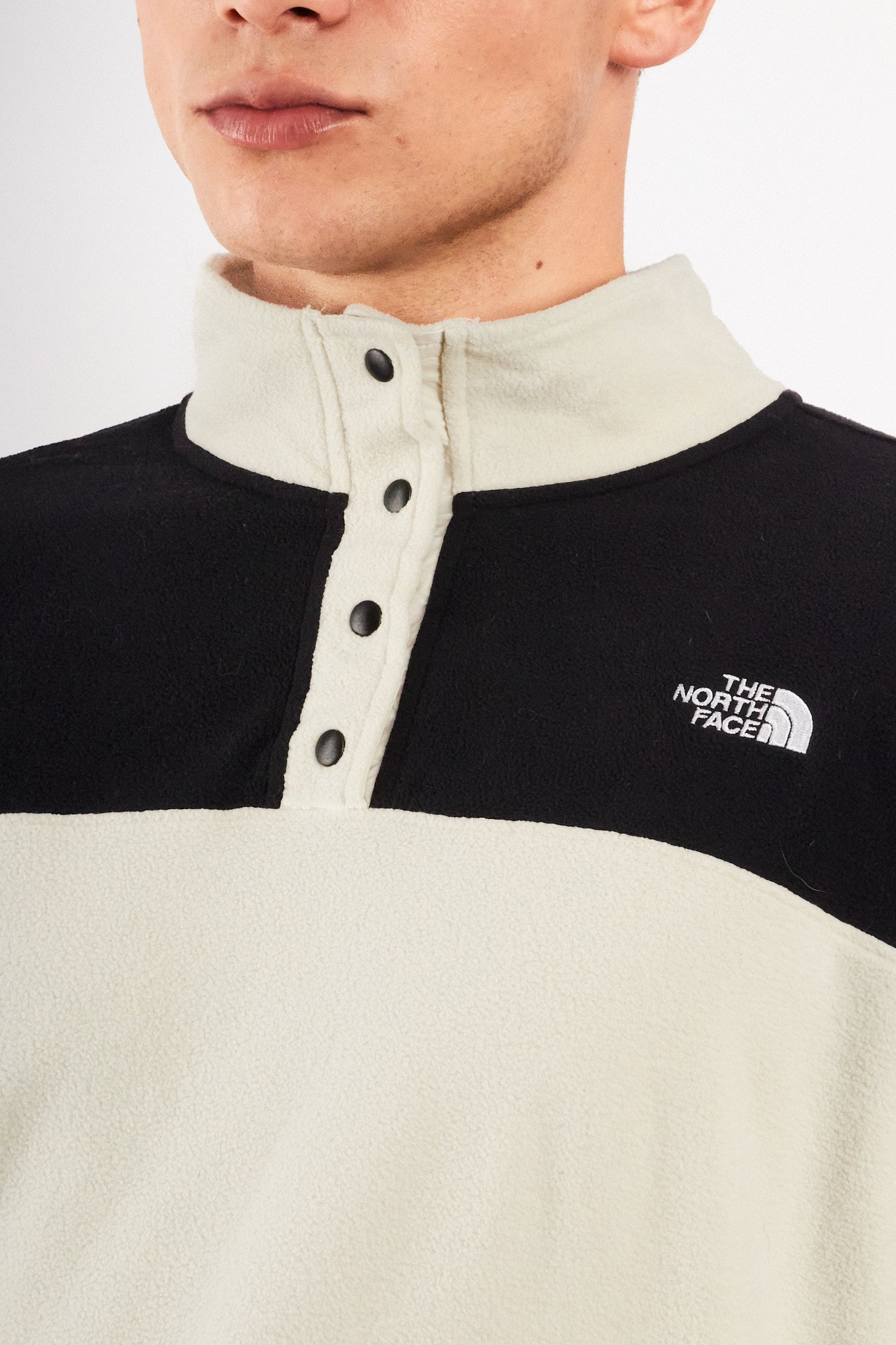 2010 The North Face Fleece Quarter Button (L)