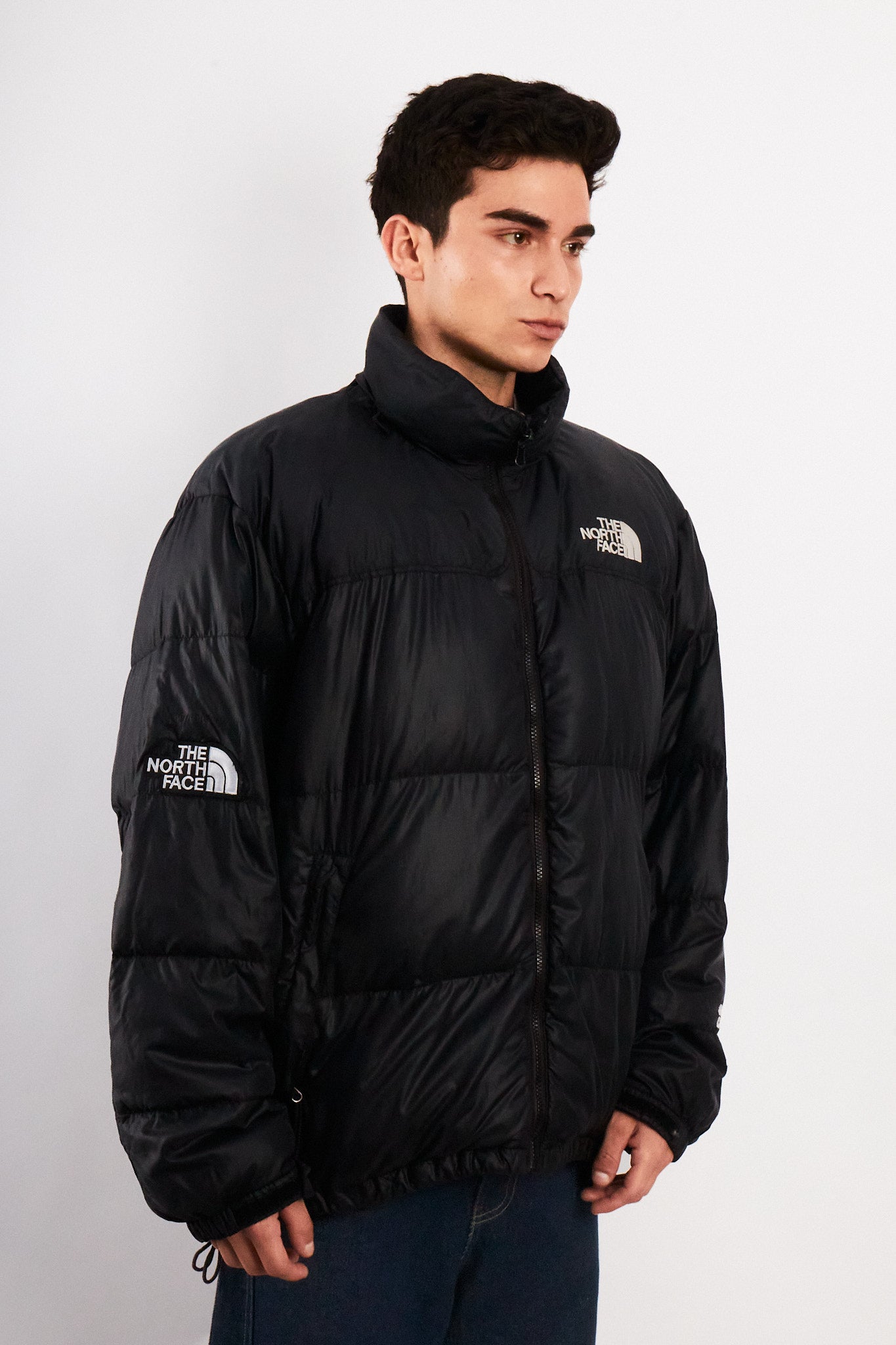 2000 Vintage North Face 800 Goose Down Puffer Jacket (L/XL)