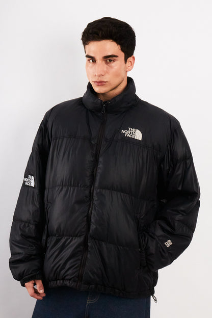 2000 Vintage North Face 800 Goose Down Puffer Jacket (L/XL)