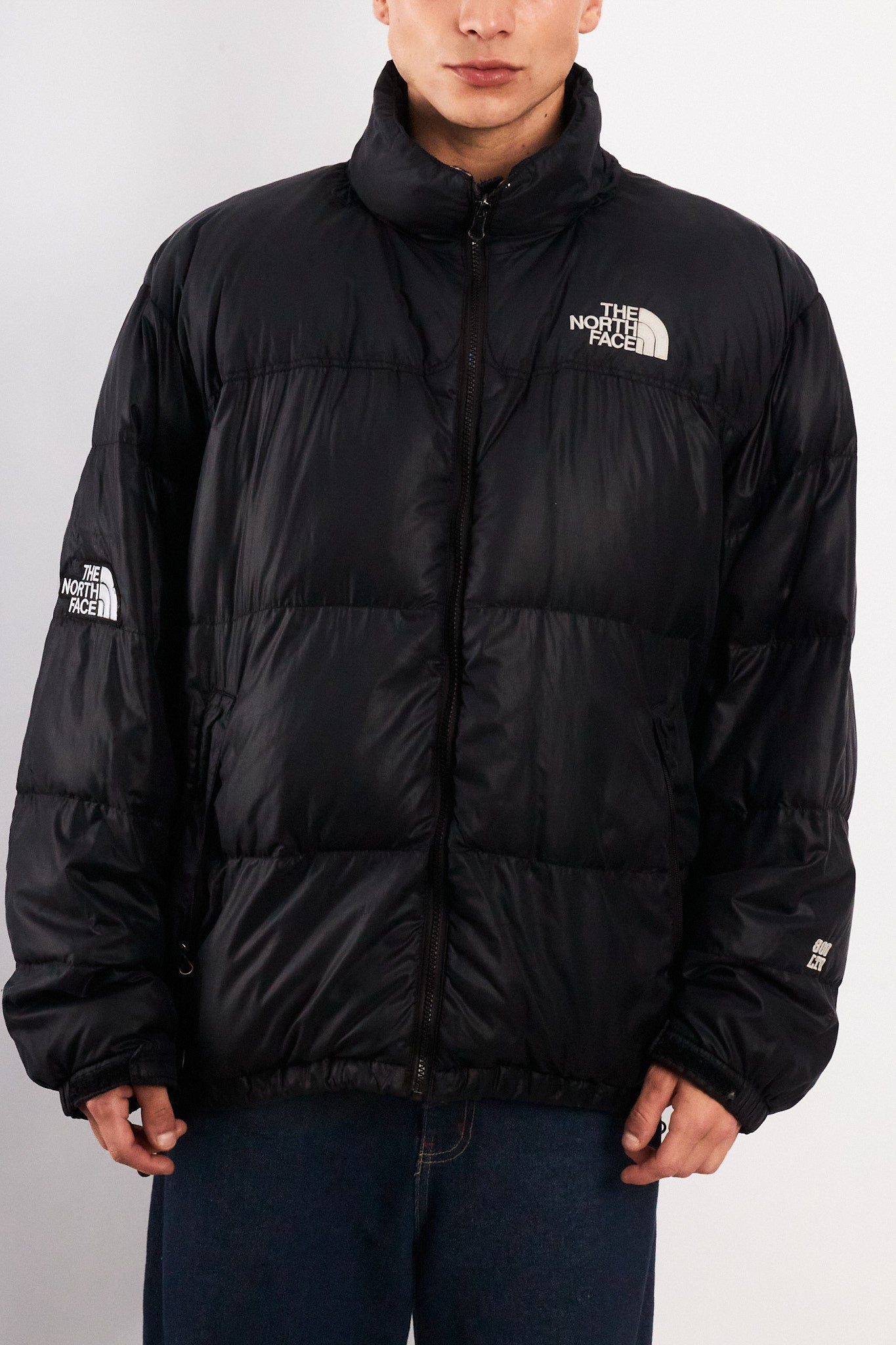 2000 Vintage North Face 800 Goose Down Puffer Jacket (L/XL)