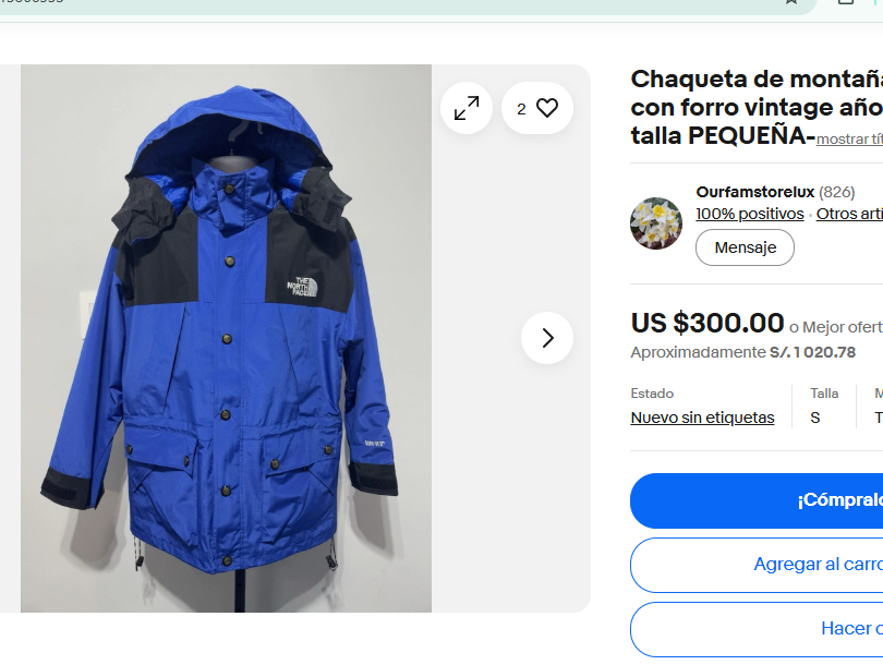 1990 Vintage The North Face Gorpcore Gore-tex Jacket (L/XL)