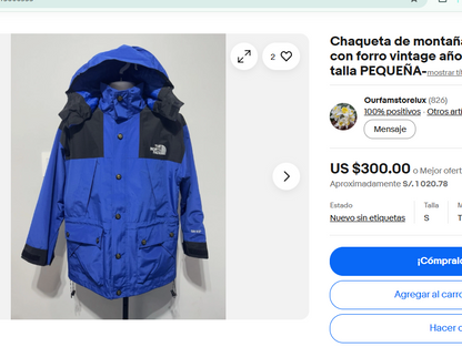 1990 Vintage The North Face Gorpcore Gore-tex Jacket (L/XL)