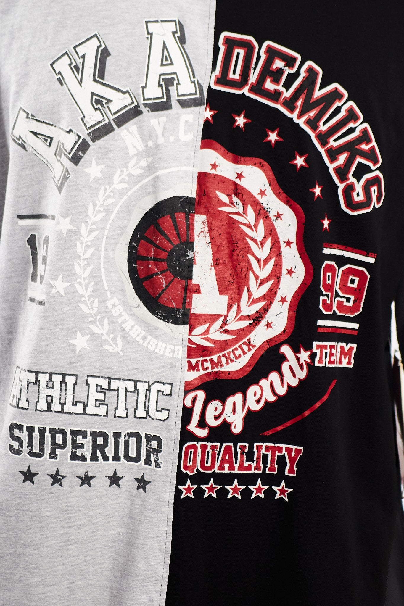 Y2K Vintage Akademics Graphic Tee (XL)