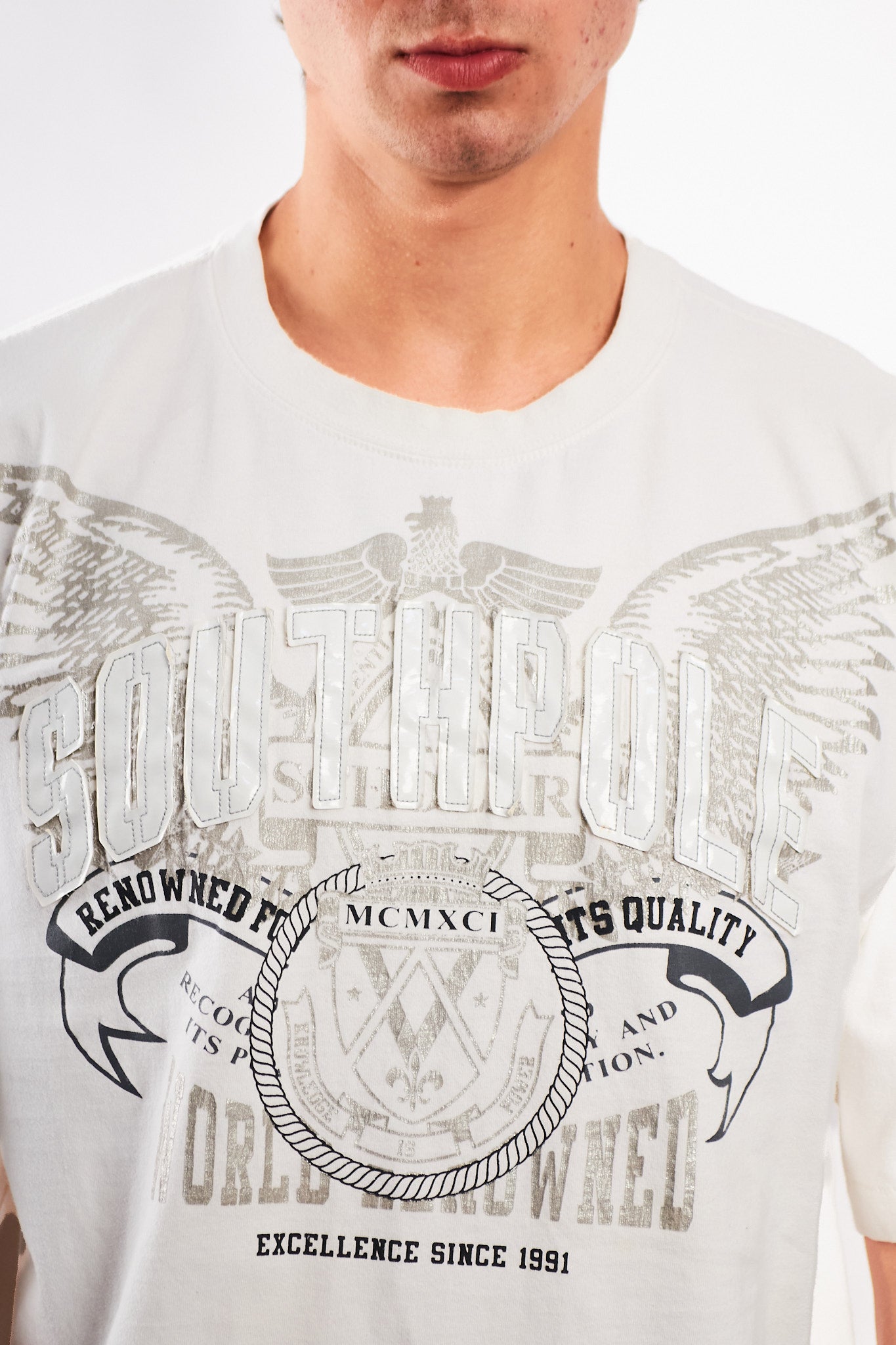 2000 Vintage Southpole Embroidered Wings Tee (L/XL)