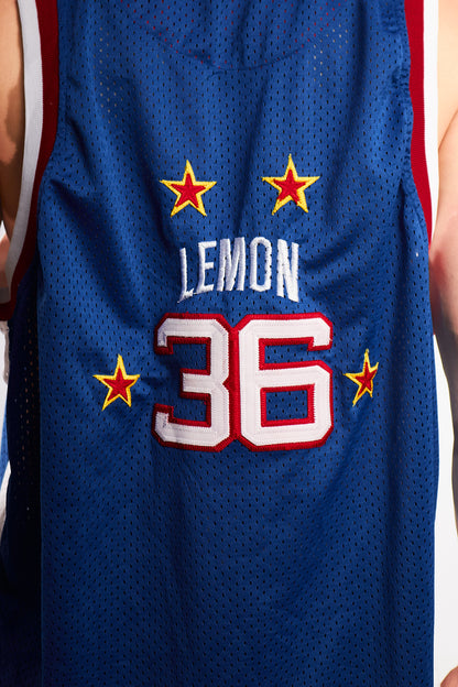 2002 Vintage Platinum Fubu x Harlem Globetrotters Jersey (L/XL)