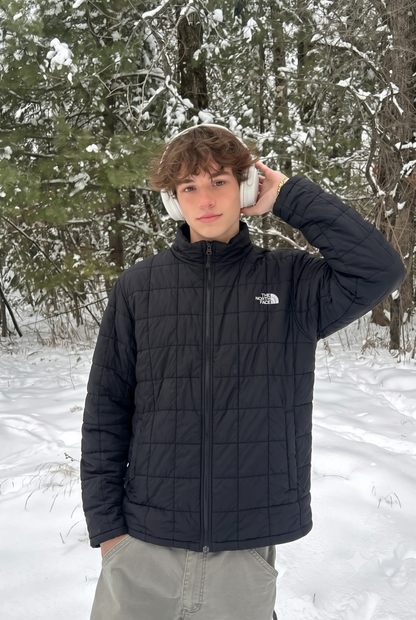 2000 Vintage North Face Graphite Puffer Jacket (L/XL)