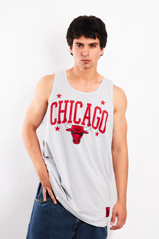 2000 NBA Chicago Bulls Reversible Jersey (L)